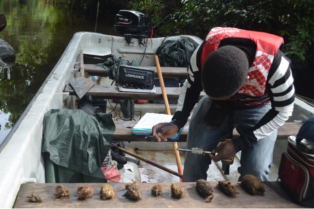 Détermination du régime alimentaire du lamantin d'Afrique: variation spatiale et temporelle en aval du bassin hydrographique de la rivière Sanaga, Cameroun.